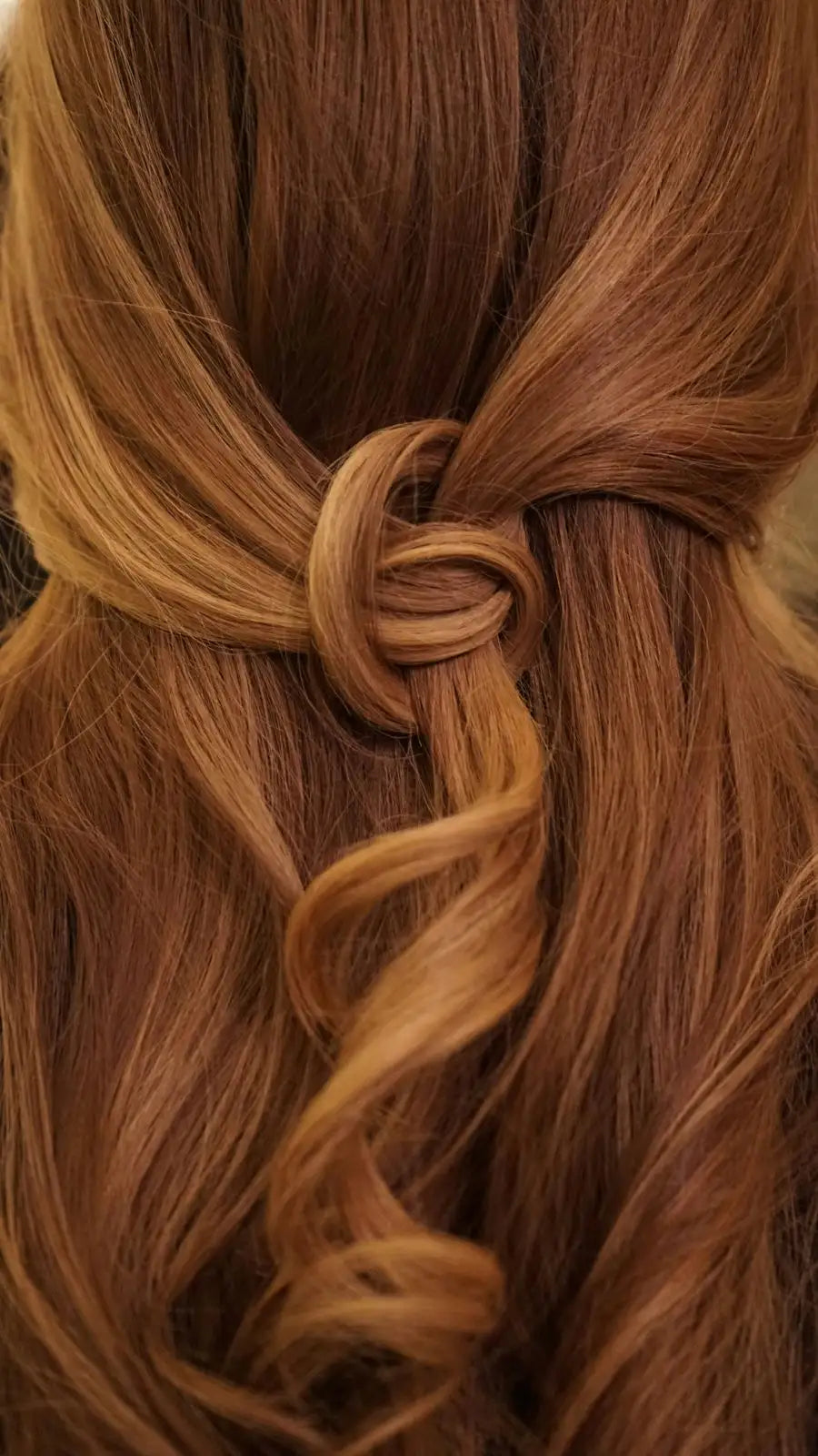 cheveux brun et roux avec un noeud dedans soirene  Image